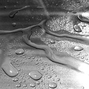 Black and white_0018.JPG